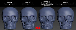 Skull 2.jpg