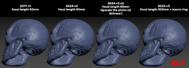 Skull 4.jpg