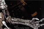 skeleton1b.jpg