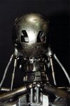 skeleton1f.jpg