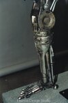 skeleton1l.jpg