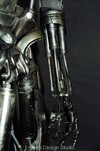 skeleton1p.jpg