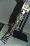 skeleton1r.jpg