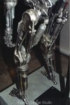 skeleton1s.jpg
