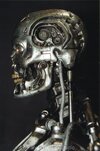 skeleton1t.jpg