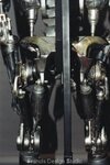 skeleton1u.jpg