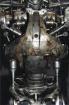 skeleton1v.jpg