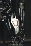 skeleton1w.jpg