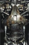 skeleton1x.jpg
