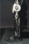 skeleton1y.jpg