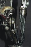 skeleton2b.jpg