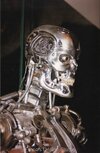skeleton2c.jpg