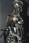 skeleton2f.jpg