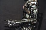 skeleton2g.jpg