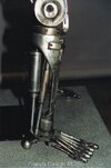 skeleton2i.jpg