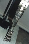 skeleton2l.jpg