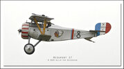 D200 080531 Nieuport 17 web 01.jpg