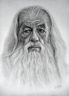 Darrel Bevan Gandalf.jpg
