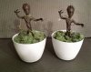 we are groot 2.jpg