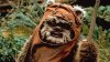 Ewok.jpg