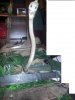 rsnake4_zps8e6d3abd.jpg