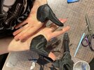 IMG_5786.jpeg
