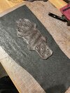 IMG_6574.jpeg