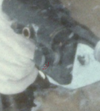 1717086305987.png
