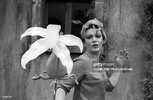 gettyimages-169129197-1024x1024.jpg