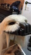 IMG_1890.jpeg