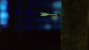 vlcsnap-2014-10-09-12h47m19s190.png