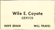 wileEcoyoteGenius.jpg