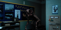 Image497.png