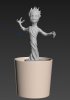 groot.JPG