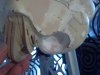 2014-08-21_12-52-31_737.jpg