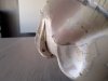 2014-09-14_13-21-50_872.jpg