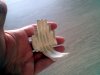 2014-10-04_12-36-38_194.jpg