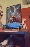FB_IMG_1722255075810.jpg