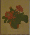 Image377_2.png