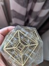 1000020308.jpg