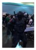 snake6.jpg