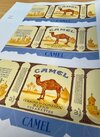 Camel pack.jpg