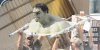 avengers-2-hulk-2.jpg