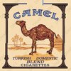 Camel Draft low res.jpg