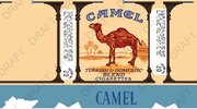 CAMEL LOW.jpg