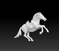 horse 1 pic.jpg