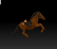horse 1b  pic.jpg
