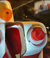 IMG_5541.jpeg