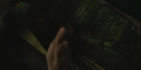 Image208.png