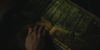 Image137.png